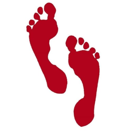 Jin binnenlands kamp